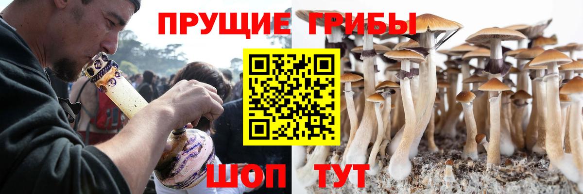 Галлюциногенные грибы Psilocybe  где купить наркотик  Находка  Вход с VPN 