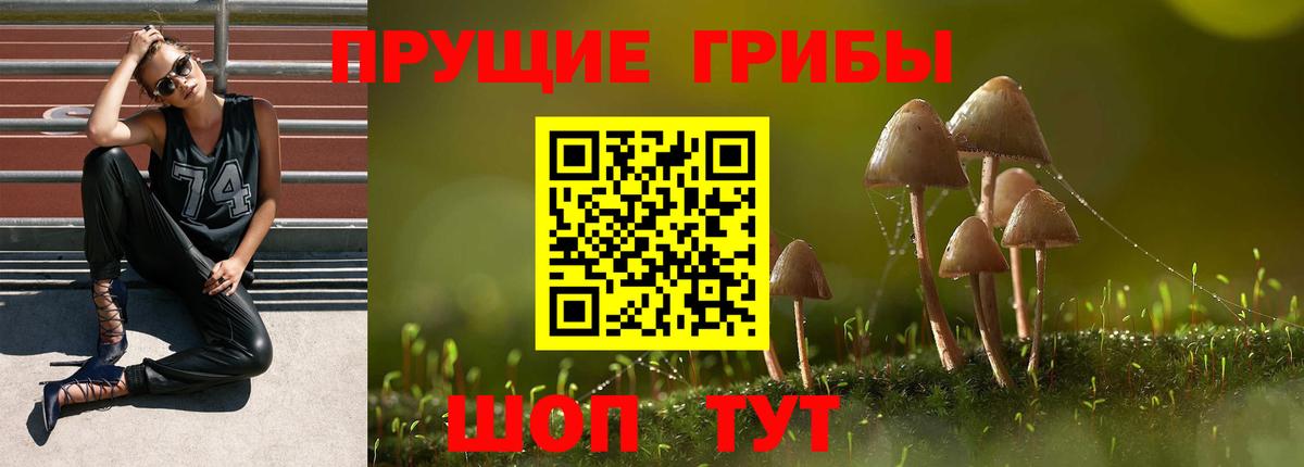 Псилоцибиновые грибы мухоморы Находка